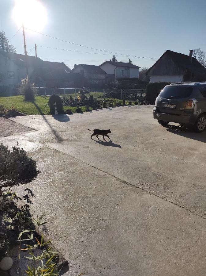 Villa Drenje Kljuc Brdovecki Luaran gambar