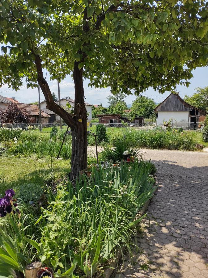 Villa Drenje Kljuc Brdovecki Luaran gambar