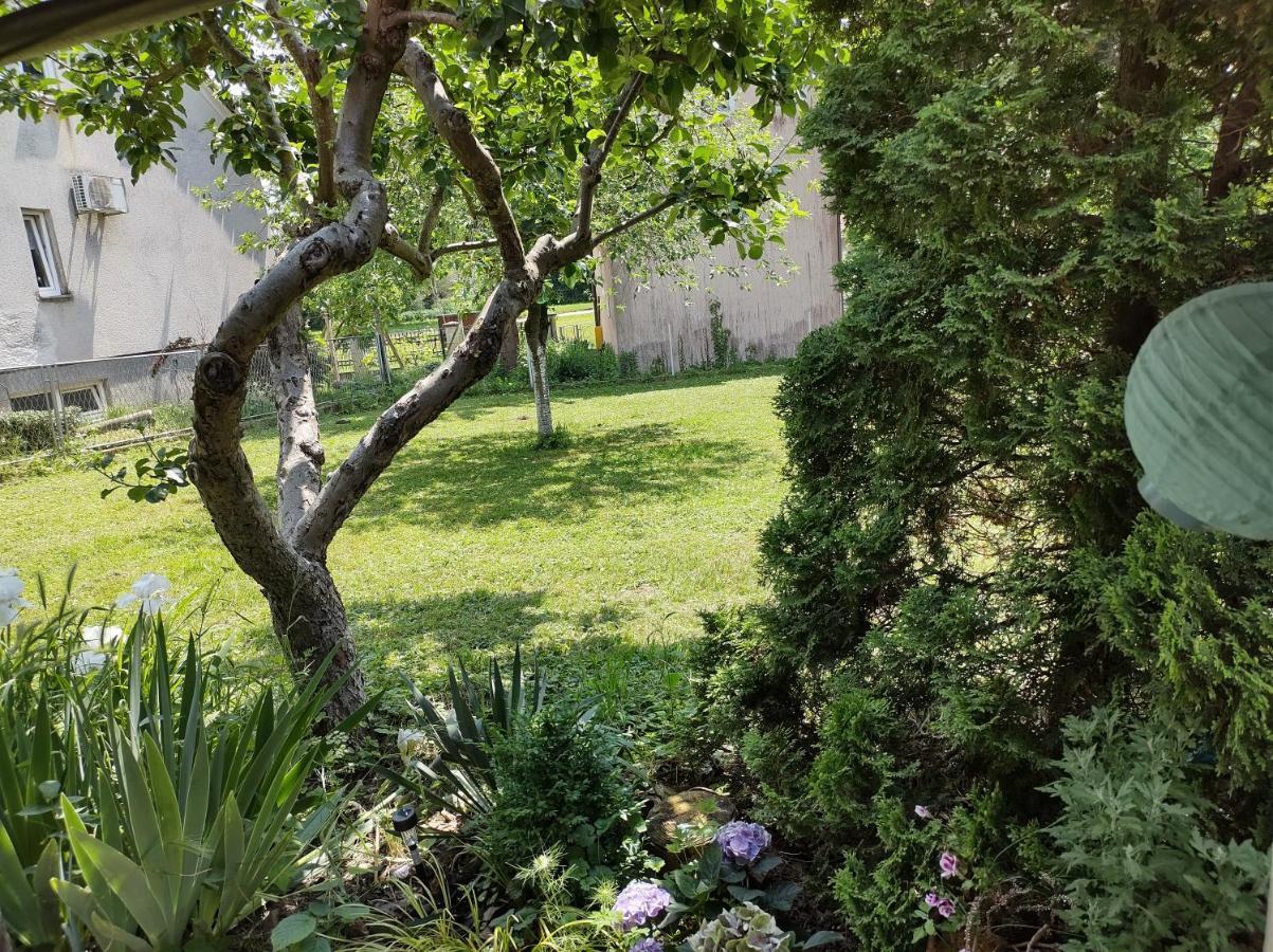 Villa Drenje Kljuc Brdovecki Luaran gambar